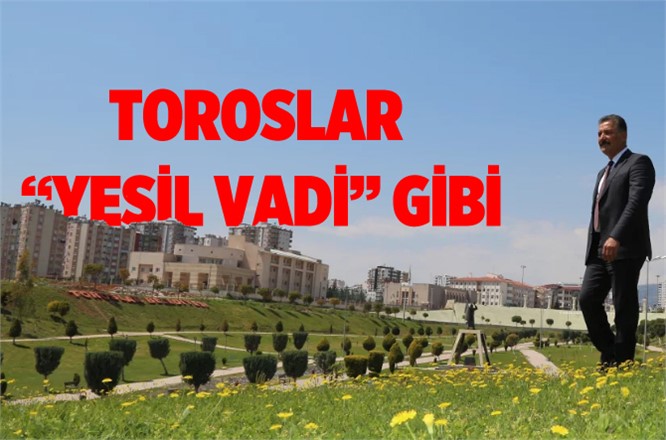 Toroslar'da Yeşil Alanların Bakım Çalışması Tamamlandı