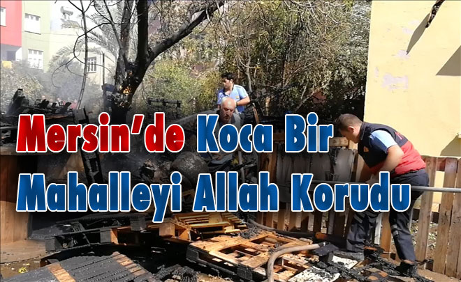 Koca Bir Mahalleyi Allah Korudu