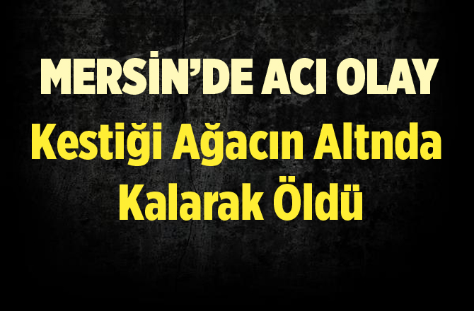 Kestiği Ağacın Altında Kalınca Öldü