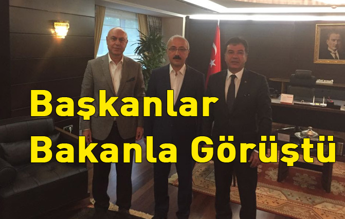 Tarsuslu Başkanlar Koçak ve Kaya Bakan Elvan'la Görüştü