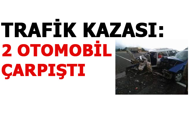 Mut'ta Trafik Kazası, 2 Otomobilin Çarpıştı