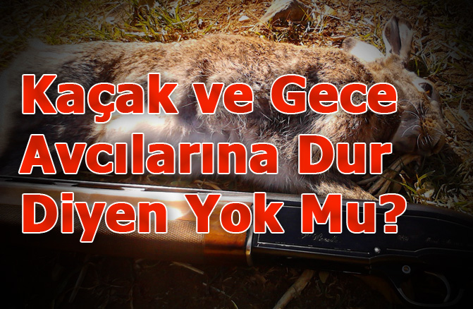 Kaçak ve Gece Avcılarına Dur Diyen Yok Mu?