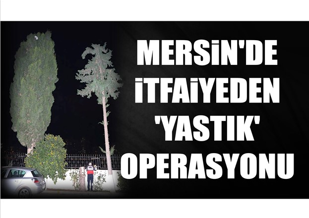 Mersin İtfaiyesi'nden 'Yastık' Operasyonu