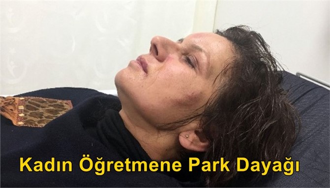 Kadın Öğretmene Park Dayağı