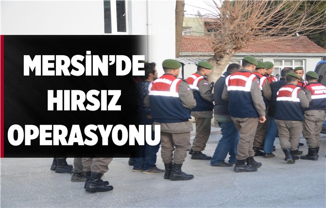 Mersin'de Hayvan Hırsızlarına Operasyon