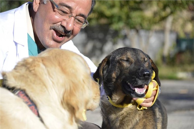 Ateş ve RüzgÂr’ın Kurtarılma HikÂyesi