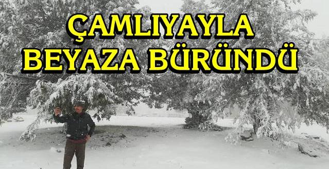 Mersin Çamlıyayla'da Kar Yağışı Etkisini Gösterdi, Çamlıyayla Beyaza Büründü