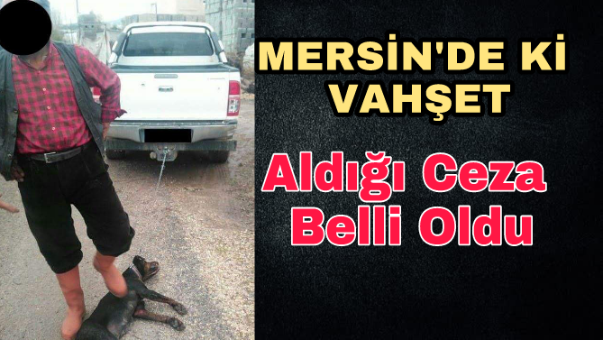 Mersin'de ki Vahşetin Cezası Belli Oldu 