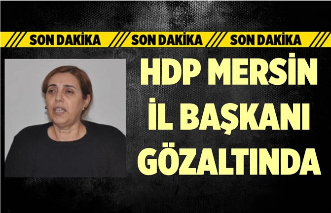 HDP Mersin İl Eşbaşkanı Gözaltına Alındı