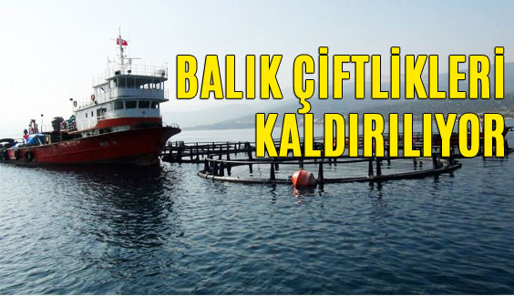 Mersin Sahillerindeki Balık Çiftlikleri Kaldırılıyor