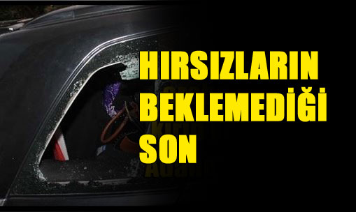 Park Halindeki Araçtan Hırsızlık Yapanların Beklemediği Son