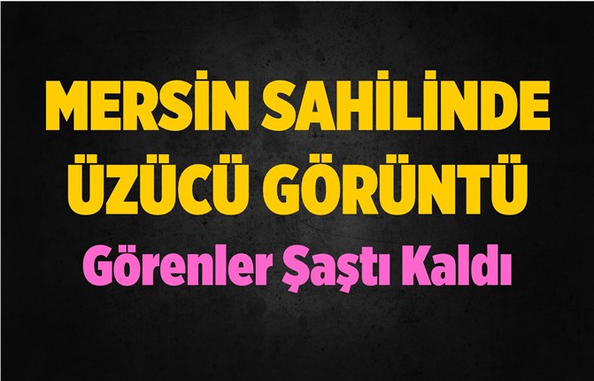 Mersin Sahilinde Üzen Görüntü