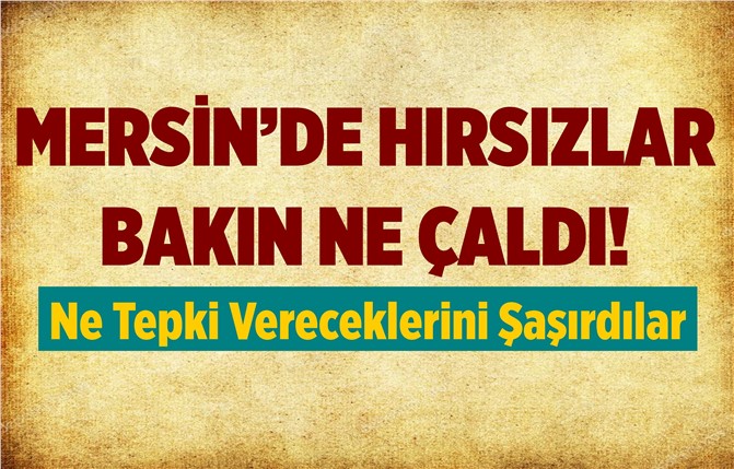 Mersin'de Hırsızlar Ne Çalacağını Şaşırdı!