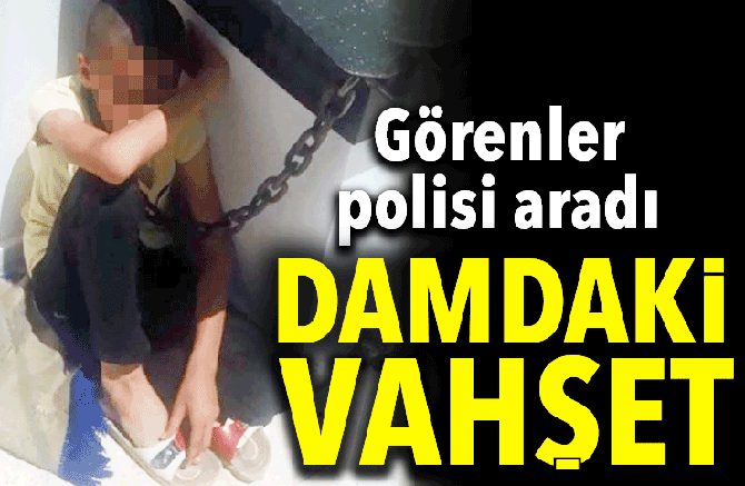 Damdaki Vahşeti Görenler Polisi Aradı