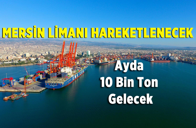 Kazakistan'dan Mersin Limanına Ticaret Hamlesi