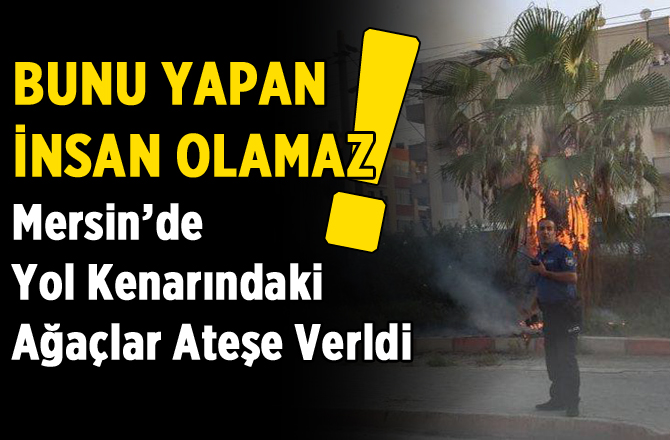 Mersin'de Kaldırımdaki Ağaçlar Ateşe Verildi