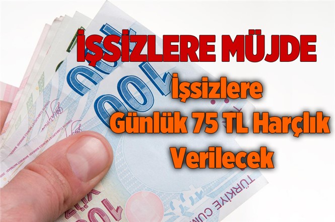 İşsiz Gençlere Günlük 75 TL Cep Harçlığı Verilecek