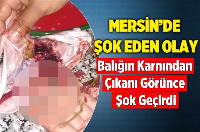 Mersin’de Tuttuğu Balığın Karnında Enjektör Başlığı Çıktı