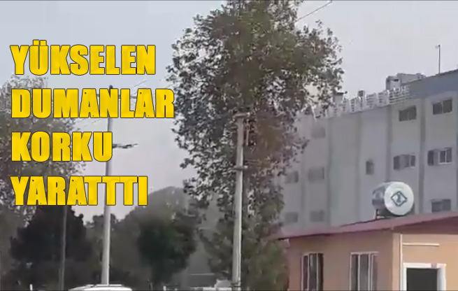 Avşarlar Kuruyemiş ve Şekerleme Tesislerinden Yükselen Duman Korku Yarattı