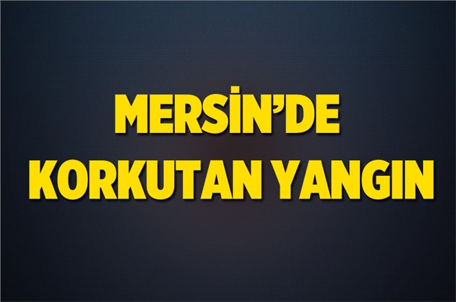 Mersin Tarsus’ta Korkutan Yangın