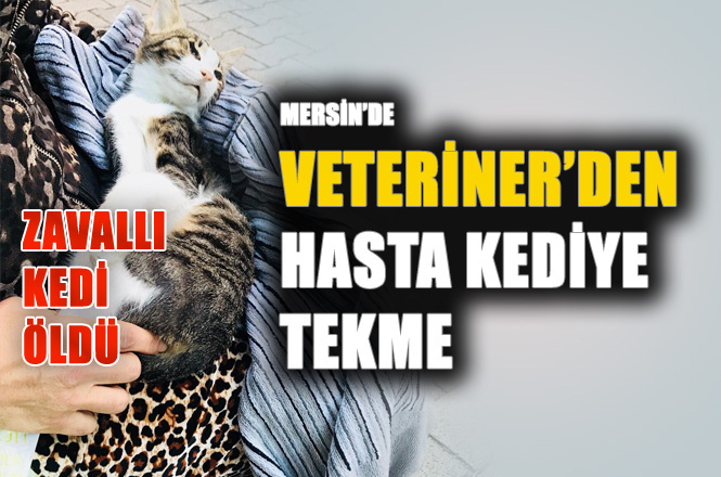 Mersin'de Kliniğe Getirilen Hasta Kediye,Veterinerden Tekme