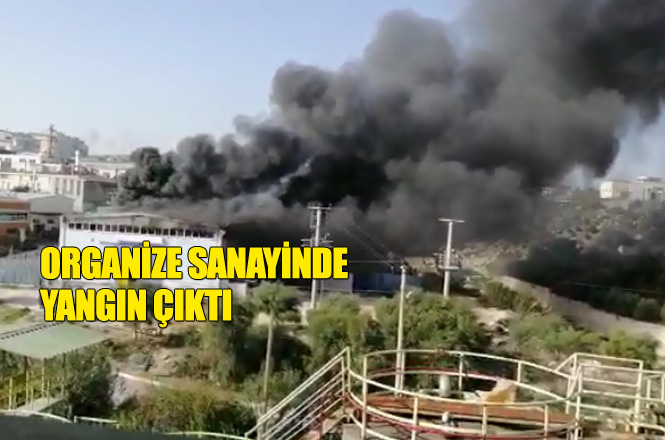 Mersin Tarsus Organize Sanayi Bölgesinde Yangın! Çakmak Fabrikasını Alevler Sardı