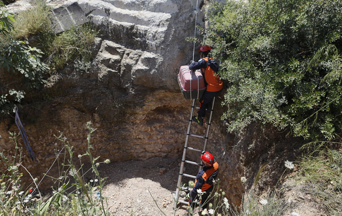 Mersin'de Çukura Düşen Domuz Yavruları İtfaiye Ekipleri Tarafından Kurtarıldı