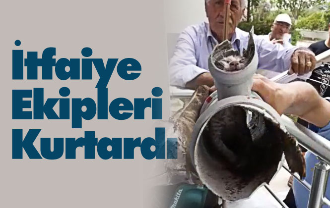 Boruya Sıkışan Kedi Yavrusunu İtfaiye Ekipleri Kurtardı