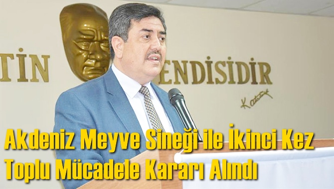 Akdeniz Meyve Sineği ile İkinci Kez Toplu Mücadele Kararı Alındı