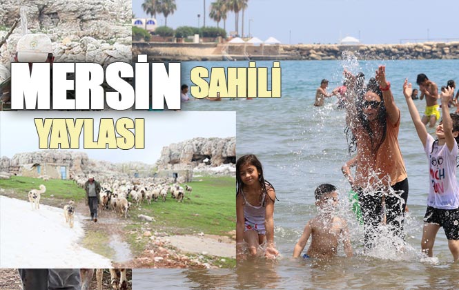 Mersin'in Yaylasında Kar Mücadelesi, Sahilde İse Deniz Keyfi