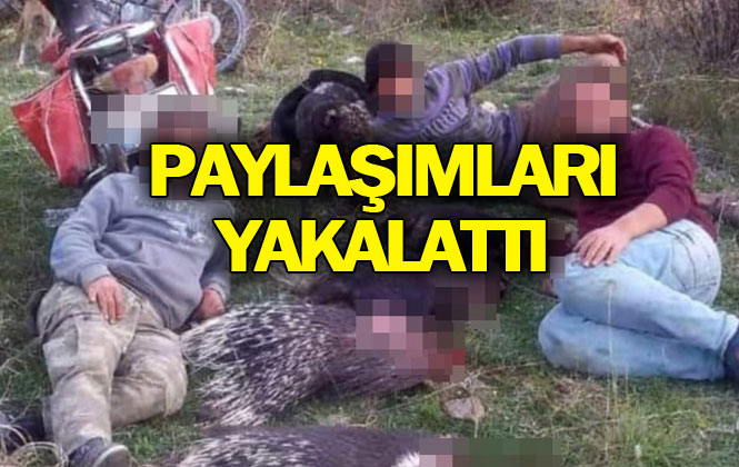 Sosyal Medya Hesaplarından Paylaşmışlardı, Hatay'ın Erzin İlçesi Gökdere Mevkiinde Oklu Kirpi Avcılarına Binlerce Lira Ceza!