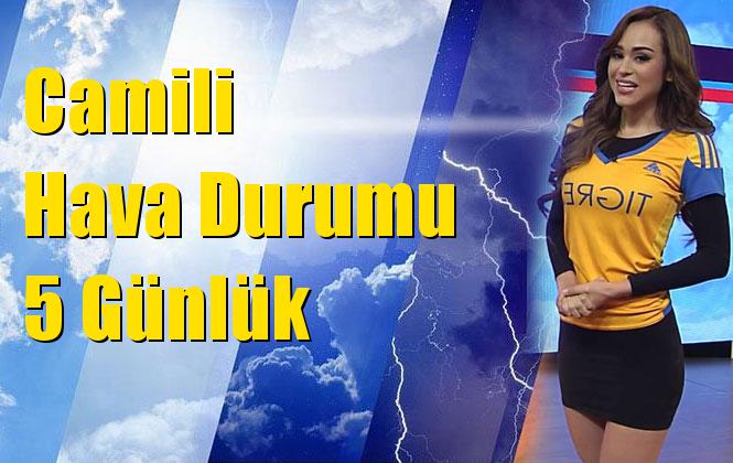 Camili Hava Durumu 5 Günlük