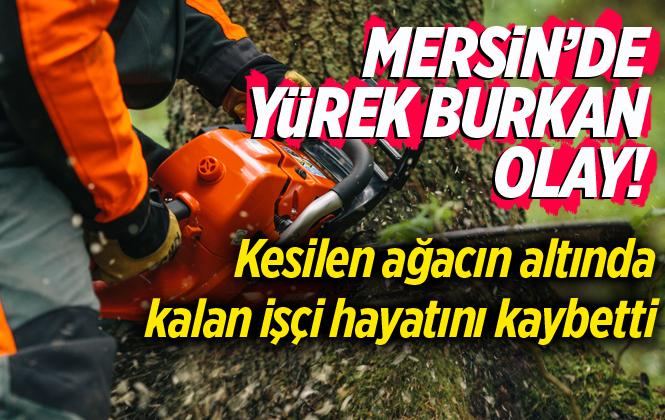 Mersin Mut’ta Kesilen Ağacın Altında Kalan Hüseyin Barış Hayatını Kaybetti