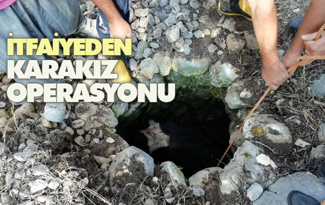 Karakız’ın İmdadına Büyükşehir Yetişti! İtfaiyeden Karakız Operasyonu