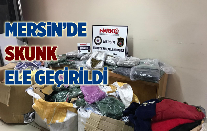 Mersin’de 5 Kilogram Skunk Ele Geçirildi