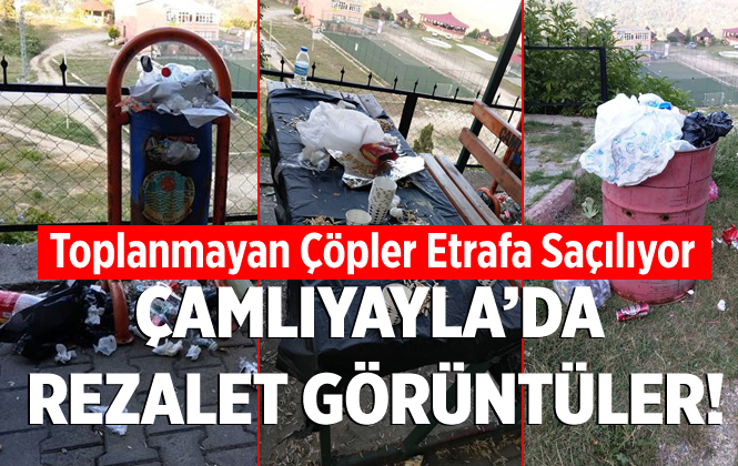 Mersin Çamlıyayla'da Çöplerin Zamanında Toplanmaması Tepkilere Neden Oluyor