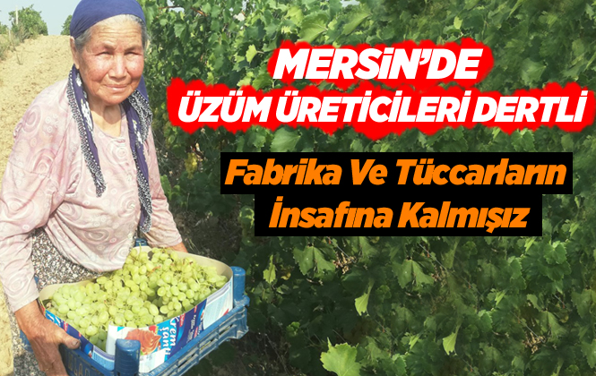 Mersin'de Üzüm Üreticileri İsyanda