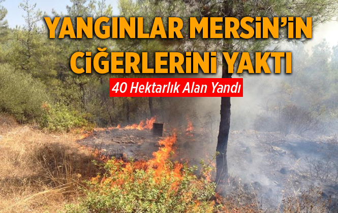 Mersin’de Orman Yangınlarında 40 Hektarlık Alan Yandı