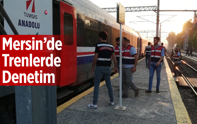 Mersin-Adana Trenlerinde Denetim