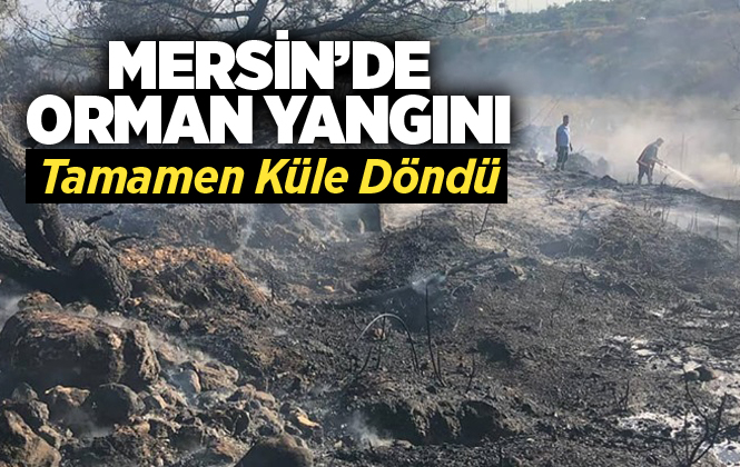 Mersin Kuyuluk'ta Orman Yangını