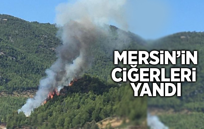 Anamur Köprübaşı Mahallesinde Orman Yangını