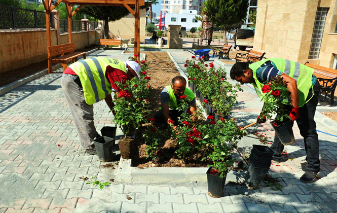 Büyükşehir Belediyesi’nden Cem Evi'ne Peyzaj Çalışması