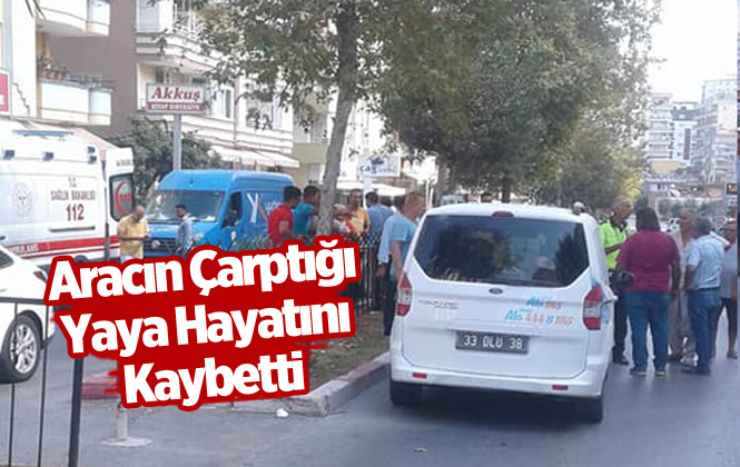 Mersin Tarsus'ta Aracın Çarptığı Kerim Çuhadar Hayatını Kaybetti