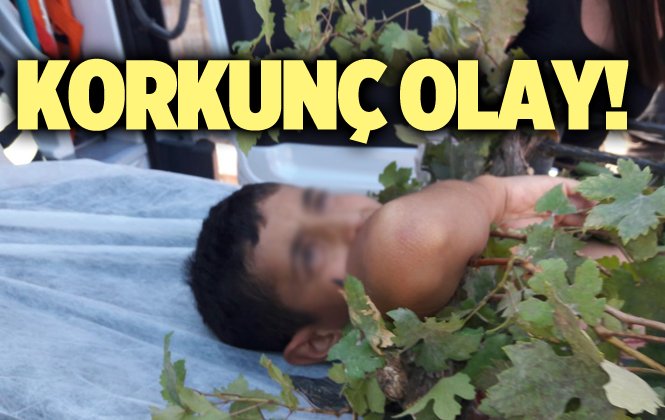 Mersin Tarsus'ta Korkunç Olay 1 Çocuk Yaralandı