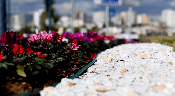 Mersin’in Dört Bir Yanı Çiçeklerle Bezendi