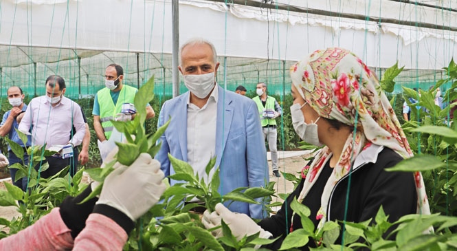 Akdeniz Belediye Başkanı Gültak, 1 Mayıs’ta, Seralarda Çalışan Tarım İşçilerini Ziyaret Etti