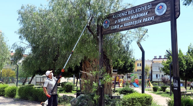 Akdeniz’de Park ve Yeşil Alanlar Zararlı Böceklere Karşı İlaçlanıyor