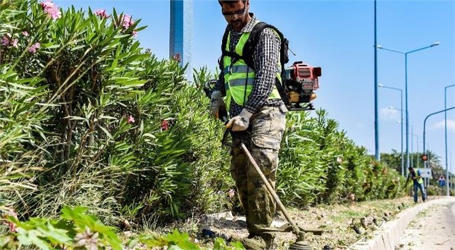 Park ve Bahçeler Ekiplerinin Kocahasanlı’dan Kızkalesi’ne Kadar Yoğun Temizlik Mesaisi