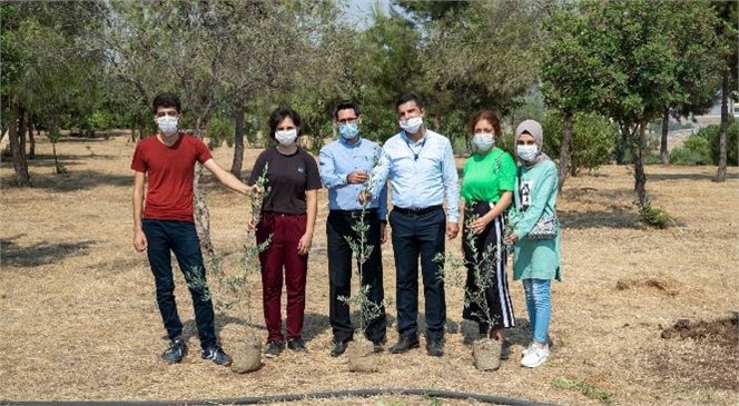 Üniversite Yolunda Mersin’de Barış Ağaçları Yeşerecek! Üniversiteyi Kazanan Kurs Merkezi Öğrencileri Zeytin Fidanı Dikti