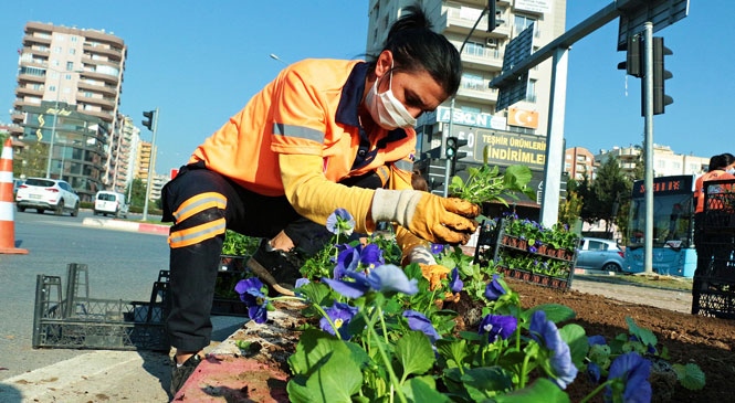 Mersin, Kışın da RengÂrenk Bir Çiçek Bahçesi! Büyükşehir, Kış Ayları İçin 800 Bin Çiçeği Toprakla Buluşturuyor